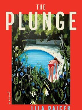 Plunge : A Novel by Lila Raicek (2026, Hardcover) BRAND NEW